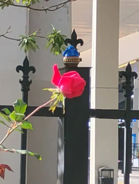 A small blue Max Rebo figure on top of a black iron fence post, beside a red rose.